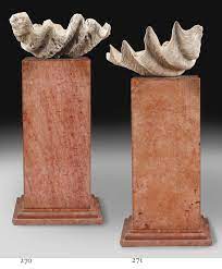 Check spelling or type a new query. Two Giant Clam Shells Tridacna Gigas