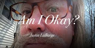 Megan Labarge's Instagram, Twitter & Facebook