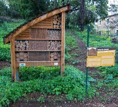 Jardin Des Plantes Paris Green House Design Bee Hotel Urban Garden