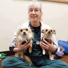 It made our vacation that much more enjoyable knowing that they were in excellent hands! Pet Boarding And Doggie Daycare In Paoli Paoli Vetcare