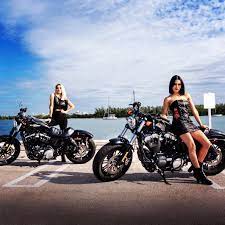 Tenemos más anuncios que le puedan interesar en miami. Harley Davidson Sportster 883 And Sportster 48 Motorcycle Rental In Miami Starting At Harley Davidson Sportster 883 Harley Davidson Sportster Harley Davidson