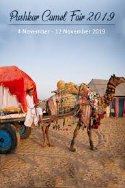 Contact us to customize pushkar camel fair 2021 tour as per your arrival dates and convenience. Pin On Rajasthan India Travel Pins
