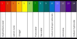 Ph Scale With Examples Bar Chart Diagram Chart