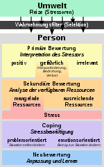 Hier erfahrt ihr die wichtigsten abläufe des modells. Datei Stressmodell Lazarus Svg Wikipedia
