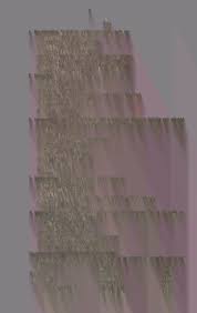 Image result for Crabbea cirsioides