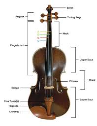 We did not find results for: Parts Of The Viola Get Tuned Com