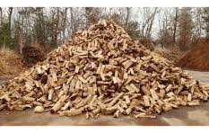 We also have a massive inventory of firewood on stock ready for pickup. Firewood Wood Chips Atlanta Tree Services