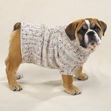 Outside of work, mallikarjun knits and enjoys playing ultimate frisbee and spending time with her cats, freyja and. 60 Knitted Dog Sweater Patterns Ideas Dog Sweater Pattern Knit Dog Sweater Dog Sweater