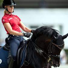 In this case the use needs to be registered at max. Das Deutsche Em Quartett Sport A Z