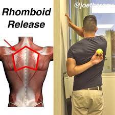 Find out what's causing your scapula pain. Pin On Exercises