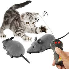 Hesapli Kedi Giyim Ve Aksesuarlari Online 2020 Icin Kedi Giyim Ve Aksesuarlari