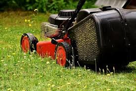 Keep in mind as you read, all just remember to never cut more than one third of the blades of your lawn's grass and you'll maintain a. How Often Should You Mow Your Lawn Outdoor Ideas