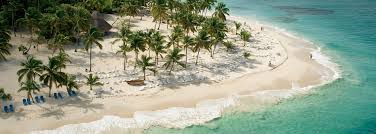 Dominican republic tours and things to do: Tourisme En Republique Dominicaine Les Excursions Incontournables D Oovatu