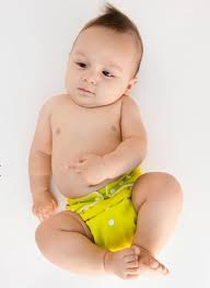Pocket Diapers Service