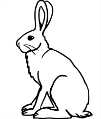 Hare coloring page, cottontail coloring page. Download Book Black And White