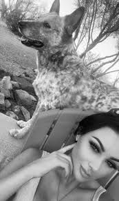 Exciting news coming to Wickenburg friends