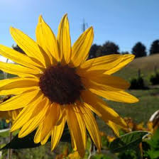 Maybe you would like to learn more about one of these? Gail Brenchley Elastigail Profile Pinterest