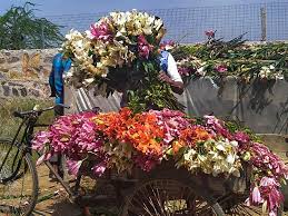 It's cheaper and you can personalize your floral arrangement. Millions Of Flowers Destroyed By Farmers Across India For Lack Of Demand