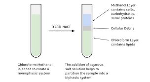 Single Step Lipid Extraction From Food Stuffs