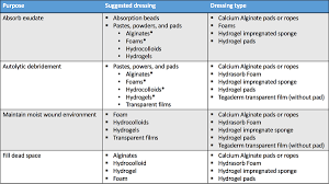 Fundamentals Of Chronic Wound Management Vetbloom Blog