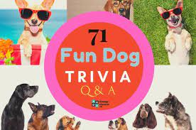 Whether you have a science buff or a harry potter fa. 71 Fun Dog Trivia Questions And Answers Group Games 101