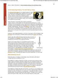 Pin By Chelsea Rogers On Acupressure Acupuncture In 2020 Chinese Medicine Traditional Chinese Medicine Qi Deficiency