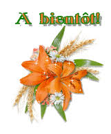 Gifs A Bientôt