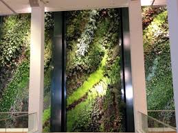 We did not find results for: Vertikaler Garten Picture Of Der Vertikale Garten Im Dussmann Haus Berlin Tripadvisor