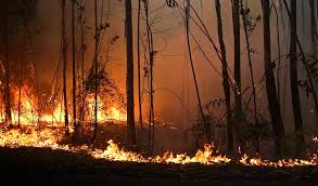 O incêndio de monchique de 2018 foi um incêndio florestal ocorrido na serra de monchique, na região do algarve em portugal. Incendio Nao Vai Deixar Dormir Em Monchique Esta Noite