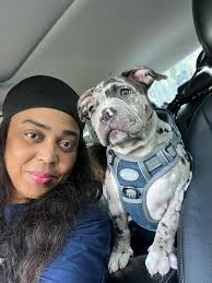 My babies.....I love my boxer and my daughter.....sweet dreams my loves