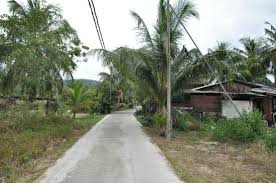 Choose from 23 pulau tioman hotel deals. That 1 Only Road Of Kampung Juara Picture Of 1511 Coconut Grove Pulau Tioman Tripadvisor