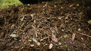The film was released by stxfilms on november 20, 2015. The Secret Is In The Soil Our World