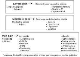 Pin On Pharmacology
