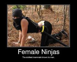 Usually expressrageor some other simple emotions or mundane activities these comics have spread much in the same way thatinternet memesdo, and several memes have originated in this medium. 40 Very Funny Ninja Pictures And Photos