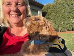 Hi all! I just wanted to introduce myself and share a photo I took Minnie  and Mickey (our new puppy) they love riding in the jeep!