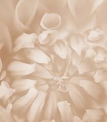 Obsèques : Avis de décès du 2018-06-23