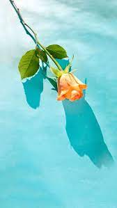 pin by kularb sritong on art photography orange wallpaper orange aesthetic wallpaper backgrounds