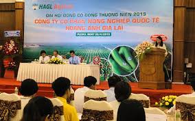 Công ty tnhh hoàng anh attapeu, ctcp cao su hoàng anh quang minh, công ty. Trá»±c Tiáº¿p Ä'hÄ'cÄ' Hagl Agrico Báº§u Ä'á»©c Kháº³ng Ä'á»‹nh Hagl Ä'áº¿n Hiá»‡n Táº¡i Khong Bá»‹ Thu