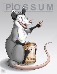 Possum In Da House Cartoon Animals Possum Furry Art