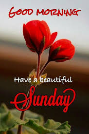 Looking for the best good morning sunday images, wishes & quotes to kickstart your daygood morning sunday images, wishes & quotes to kickstart your day for whatsapp, dp, profile pictures & wallpapers, etc. Best Good Morning Happy Sunday Hd Images Free Download