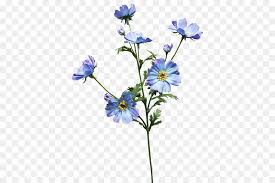 Use these flower clipart transparent background. Flowers Clipart Background