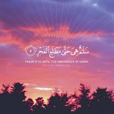 Quranic wisdom, land of heart �. Pin On Scholars And Preachers In Islam