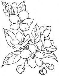 150 Ideias De Arranjos E Flores Riscos Para Pintura Flores Para Colorir Desenhos De Flores