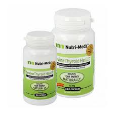 Your health is more important than anything else. Bovine Thyroid Health 65 Mg Kapseln 120 St 14412812 Eur 55 81 Picclick De