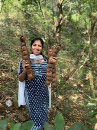 Image result for Entada gigas