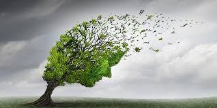 Trauma informed care training uk. Are You Trauma Informed