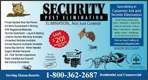 Pest Control Holliston Ma Ant Bat Termite Control Holliston