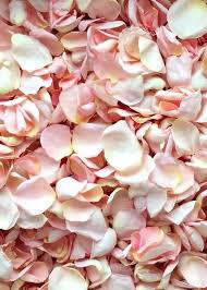 Biodegradable Freeze Dried Rose Petals In Blush Pink 8 Cups Freeze Dried Rose Petals Wedding Petals Dried Rose Petals