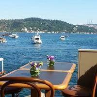 Åsa lindhagen, minister for financial markets and deputy. Baylan Dessert Shop