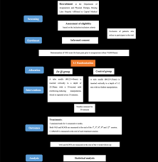 Flow Chart Of The Trial Koa Knee Osteoarthritis Vas Visual